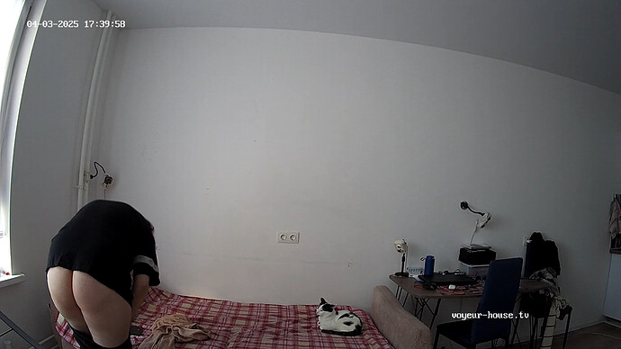 realm93-cam14-1743696515