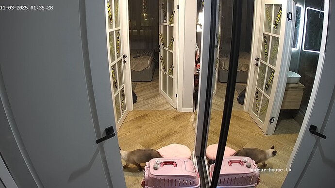 realm94-cam111-1762123762