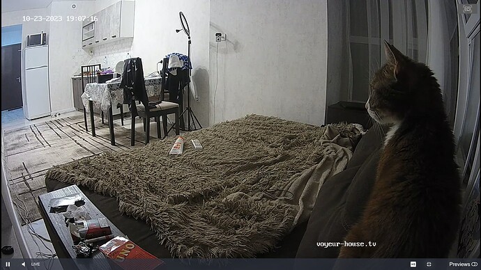 Noldus 2023-10-23 18-07-46-850