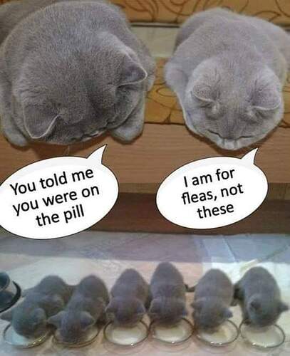 FB_IMG_1681154488702