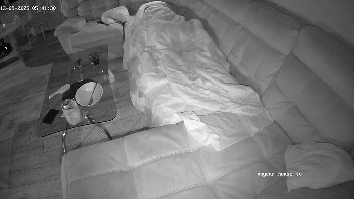 realm126-cam16-1765298724