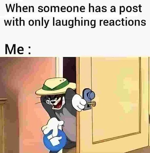 431259982_426814546527771_5044886472544752957_n