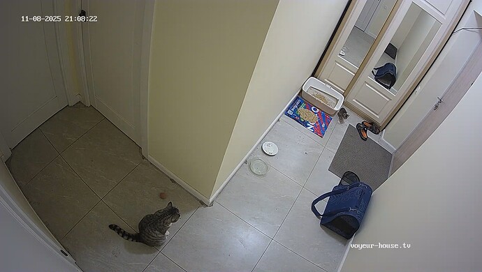 realm10-cam19-1762625347