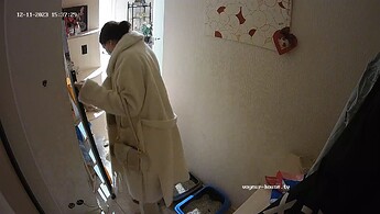 realm91-cam110-1702311803