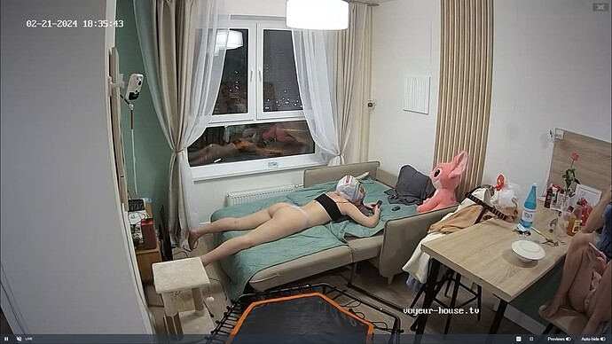 Ashampoo_Snap_mercredi 21 février 2024_16h36m10s_006_Amelie & Lucas apartment with reallifecam cameras at Voyeur House TV - Google Chrome