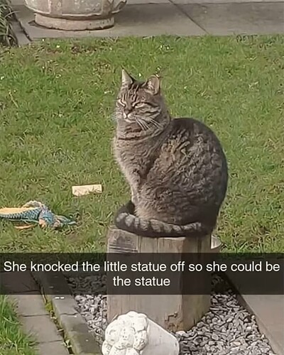 Cat Statue