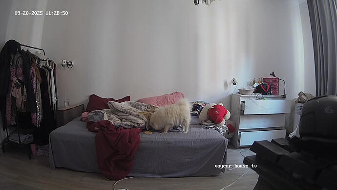 realm115-cam15-1758352680