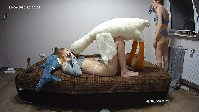 realm31-cam14-1701029374