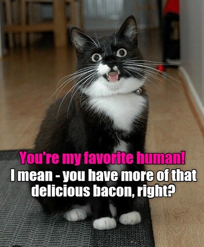 main-qimg-940cafe6266eab930095a5312af9a618