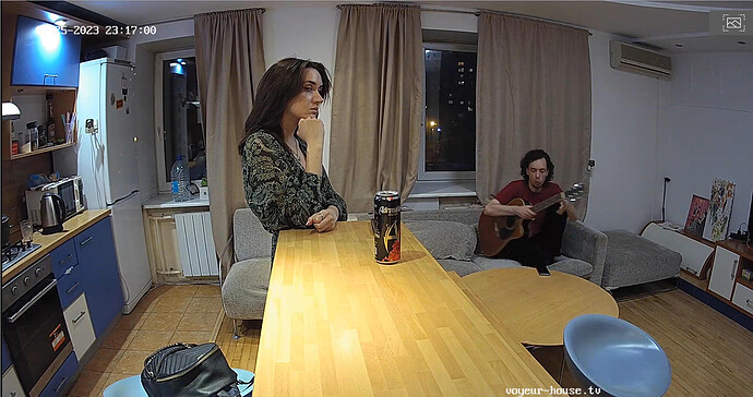 Screenshot 2023-05-25 at 13-18-54 Guest bedroom camera at Sophia Elon Claudia reallifecam apartment at Voyeur House TV (cam110)