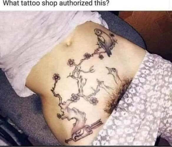 368019794_10232178937881621_5828073323175274398_n