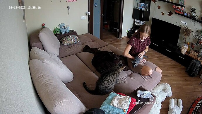 realm37-cam16-1691923335