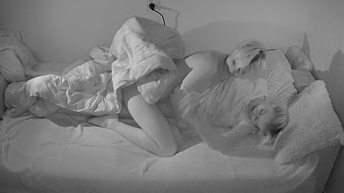 Noldus 2023-12-25 15-22-30-805