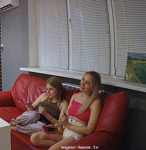 Screenshot 2023-08-11 at 16-07-39 Living room camera at Talon & Shea reallifecam apartment at Voyeur House TV (cam16)