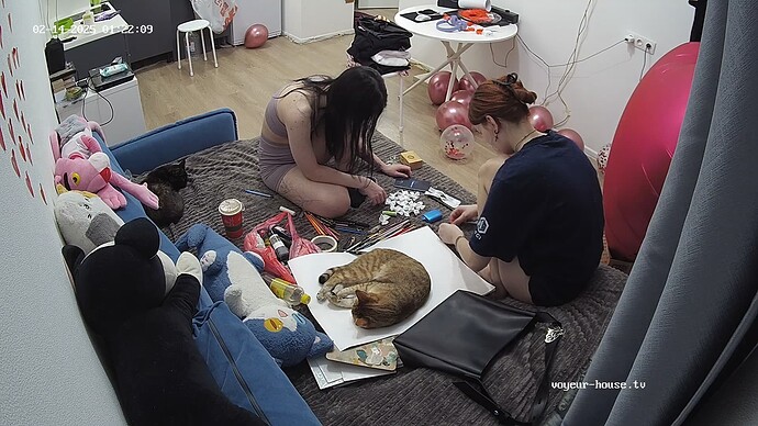 realm69-cam14-1739485362