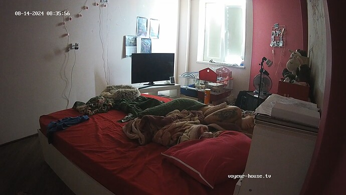 realm60-cam17-1723669000