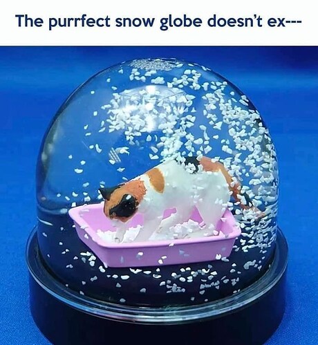 tableware-purrfect-snow-globe-doesnt-ex-2