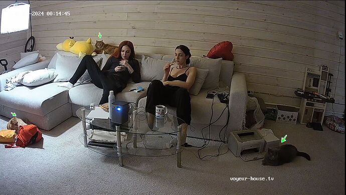 Screenshot_2024_02_27-58