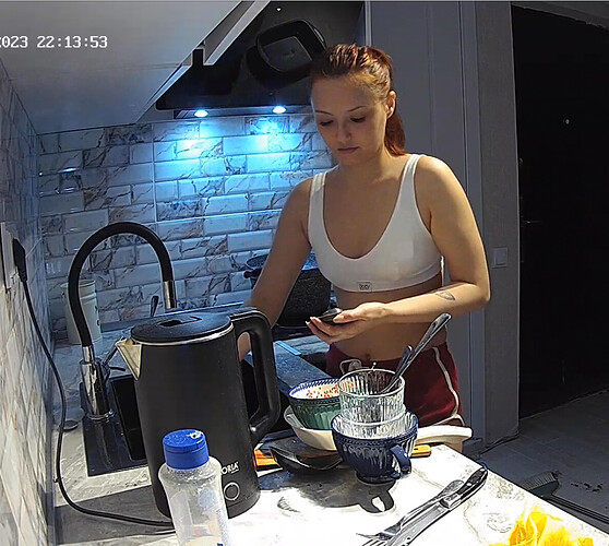 Screenshot 2023-08-16 at 16-28-12 Kitchen camera at Nikki reallifecam apartment at Voyeur House TV (cam12)