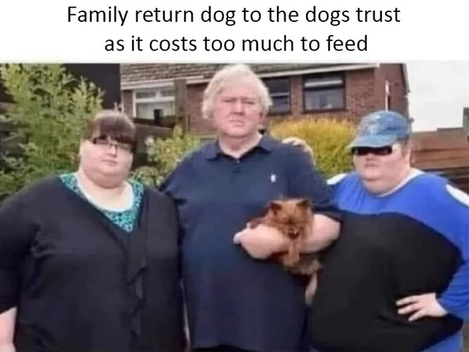 Dog Return