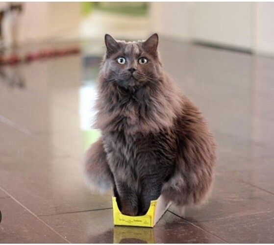 main-qimg-ee758d52f93f1505a720632805c885d1