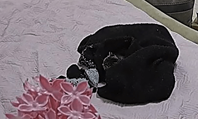 realm98-cam15-1717969945