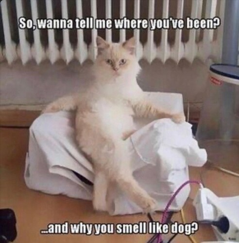 main-qimg-c9ac2c29d255f70b7fe87141f160b2b0