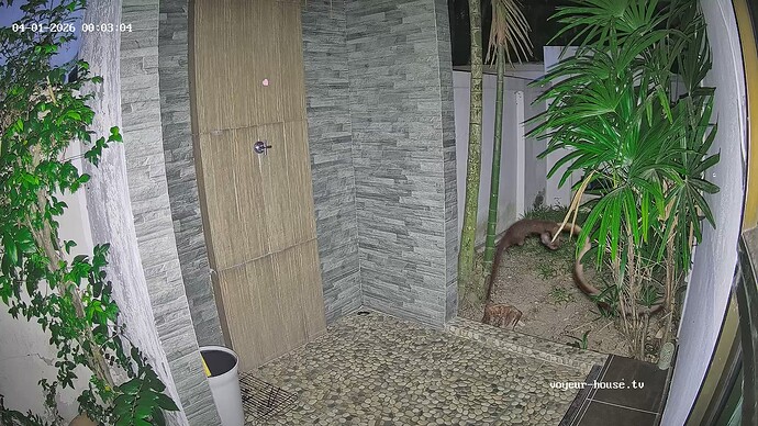 TropicalVilla-20260401-02