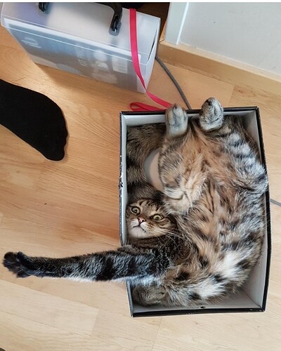 main-qimg-baebcc0043bead805271350d0f8a01e2