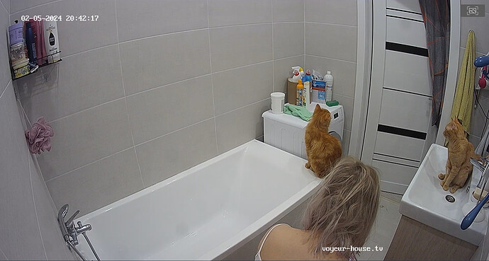 bandicam 2024-02-05 17-42-49-362