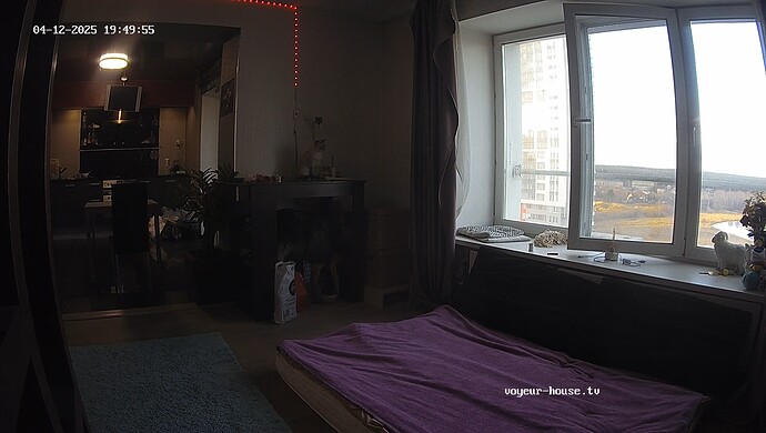 realm55-cam16-1744465831