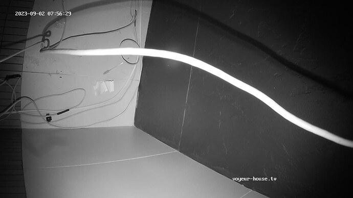 realm44-cam113-1693630620