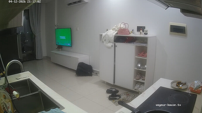 realm134-cam11-1776003816