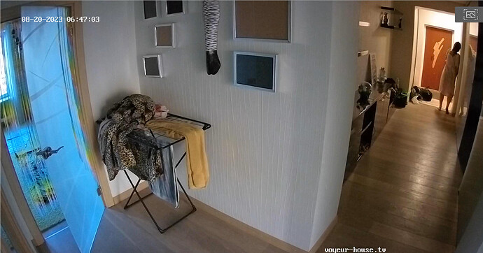 Screenshot 2023-08-20 at 03-55-55 Bedroom camera at Momo reallifecam apartment at Voyeur House TV (cam18)