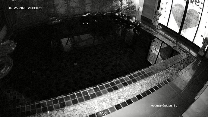 realm94-cam19-1772026435