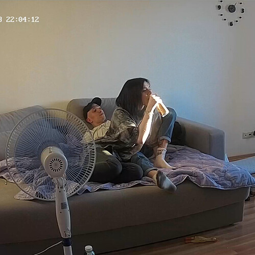 Screenshot 2023-06-13 at 13-02-26 Living room camera at Amelie & Lucas reallifecam apartment at Voyeur House TV (cam13)