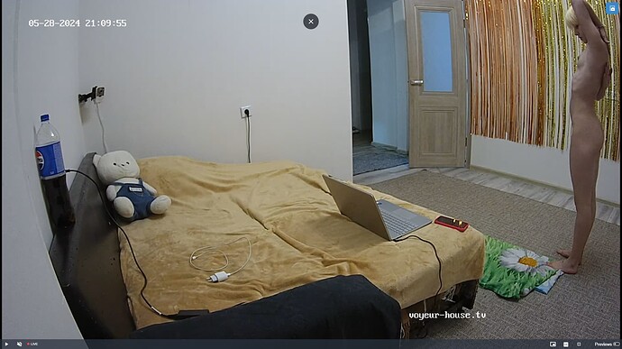 Ashampoo_Snap_mardi 28 mai 2024_19h10m30s_001_Living room camera at Lois & March reallifecam apartment at Voyeur House TV (cam13) - Google Chrome