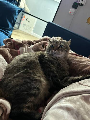 photo_2026-01-25_08-36-03