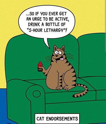 main-qimg-86f2c3eaa9cb1c64b3dc5a1520201eeb