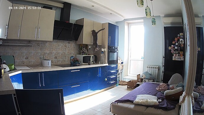 realm60-cam14-1713128951