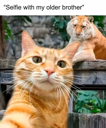 Selfie
