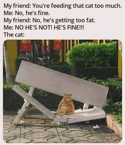 440157041_10168564624855319_303287149401397783_n