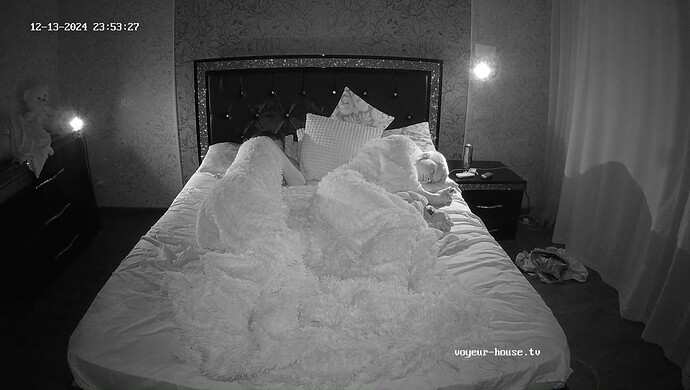 realm95-cam17-1734123252