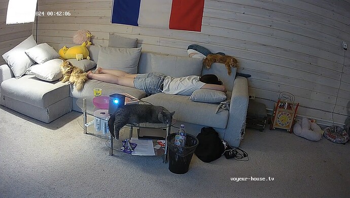 realm83-cam13-1717364563