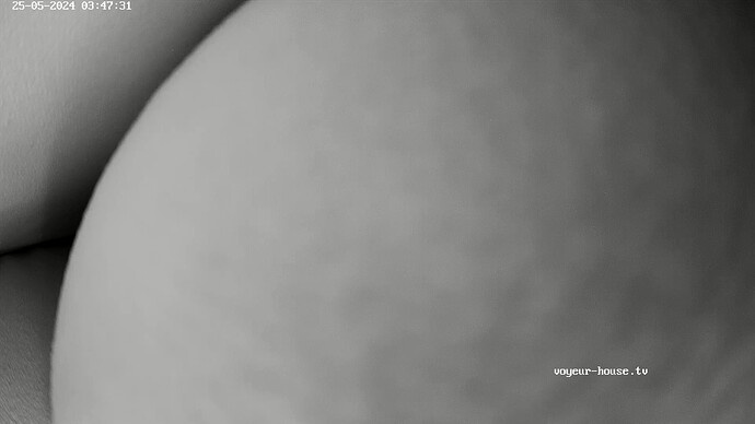 realm23-cam13-1716636752