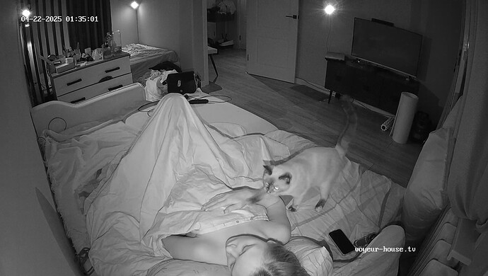 realm67-cam13-1745274940