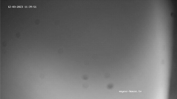 Screenshot 2023-12-03 at 03-40-10 Bedroom camera at Mira & Henry reallifecam apartment at Voyeur House TV (cam110)