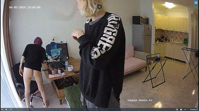 Ashampoo_Snap_mercredi 5 juin 2024_17h4m43s_001_Living room camera at Inira & Unuk reallifecam apartment at Voyeur House TV (cam13) - Google Chrome