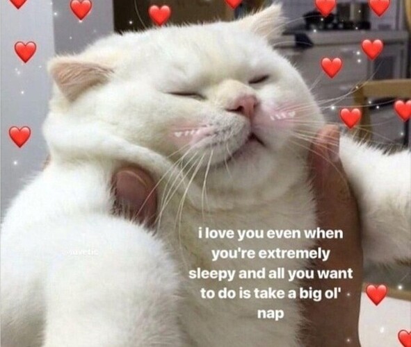 main-qimg-b0b0aefad72eb255c3f97b82d95db513