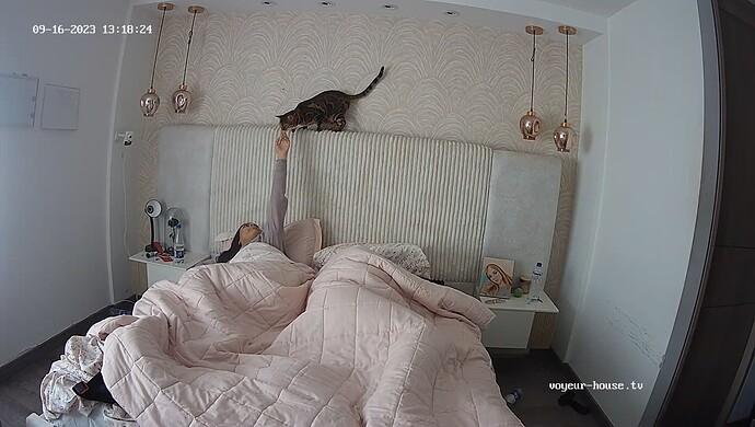 realm38-cam113-1694889064